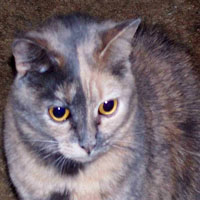 Julie
